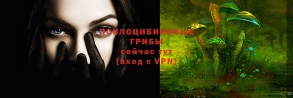 соль ск Заволжье