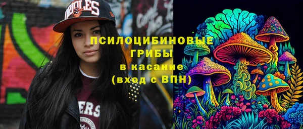 соль ск Заволжье