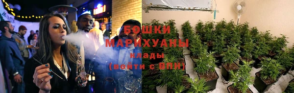 метадон Заводоуковск